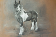 pocahontas horse smaller